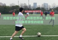 网易世界杯下注-网易世界杯，数字娱乐与体育激情的碰撞