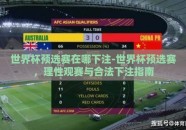 世界杯预选赛在哪下注-世界杯预选赛，理性观赛与合法下注指南