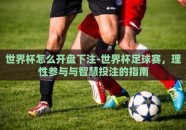 世界杯怎么开盘下注-世界杯足球赛，理性参与与智慧投注的指南