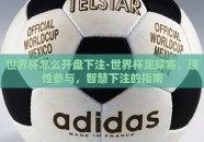 世界杯怎么开盘下注-世界杯足球赛，理性参与，智慧下注的指南