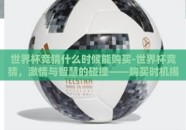 世界杯竞猜什么时候能购买-世界杯竞猜，激情与智慧的碰撞——购买时机揭秘