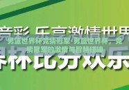 男篮世界杯竞猜冠军-男篮世界杯，竞猜冠军的激情与智慧碰撞