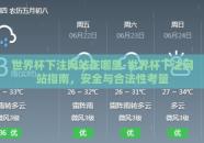 世界杯下注网站在哪里-世界杯下注网站指南，安全与合法性考量