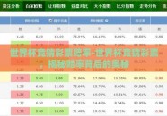 世界杯竞猜彩票赔率-世界杯竞猜彩票，揭秘赔率背后的奥秘