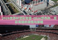 2026世界杯足彩竞猜-2026世界杯，足彩竞猜的激情与策略