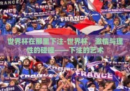 世界杯在那里下注-世界杯，激情与理性的碰撞——下注的艺术
