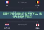 世界杯下注在哪知乎-世界杯下注，理性与乐趣的平衡点