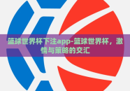 篮球世界杯下注app-篮球世界杯，激情与策略的交汇