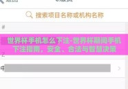 世界杯手机怎么下注-世界杯期间手机下注指南，安全、合法与智慧决策