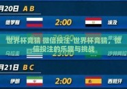 世界杯竞猜 微信投注-世界杯竞猜，微信投注的乐趣与挑战