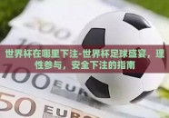 世界杯在哪里下注-世界杯足球盛宴，理性参与，安全下注的指南