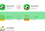 下注世界杯的app-世界杯狂热，智能下注APP的潮流与挑战