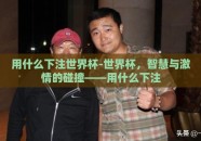 用什么下注世界杯-世界杯，智慧与激情的碰撞——用什么下注