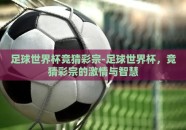 足球世界杯竞猜彩宗-足球世界杯，竞猜彩宗的激情与智慧