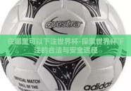 在哪里可以下注世界杯-探索世界杯下注的合法与安全途径