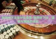 世界杯下注是什么意思-世界杯下注，激情与策略的交织