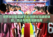 世界杯在哪买球下注-世界杯观赛新体验，合法与理性观赛指南