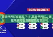 男篮世界杯在哪里下注-男篮世界杯，理性观赛与合法投注的指南
