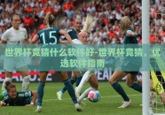 世界杯竞猜什么软件好-世界杯竞猜，优选软件指南