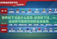 世界杯下注是什么意思-世界杯下注，一场激情与策略交织的全球盛事
