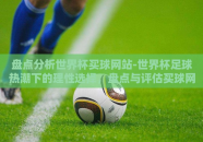盘点分析世界杯买球网站-世界杯足球热潮下的理性选择，盘点与评估买球网站