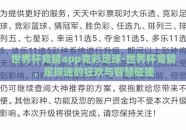 世界杯竞猜app竞彩足球-世界杯竞猜，足球迷的狂欢与智慧碰撞