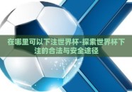在哪里可以下注世界杯-探索世界杯下注的合法与安全途径