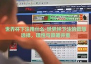 世界杯下注用什么-世界杯下注的智慧选择，理性与策略并重