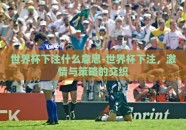 世界杯下注什么意思-世界杯下注，激情与策略的交织