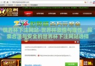 世界杯下注网站-世界杯激情与理性，探索合法与安全的世界杯下注网站选择