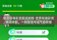世界杯体彩竞猜进球数-世界杯体彩竞猜进球数，一场智慧与运气的较量