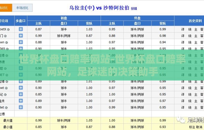 世界杯盘口赔率网站-世界杯盘口赔率网站，足球迷的决策助手