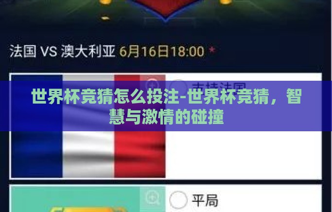 世界杯竞猜怎么投注-世界杯竞猜，智慧与激情的碰撞