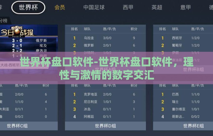 世界杯盘口软件-世界杯盘口软件，理性与激情的数字交汇