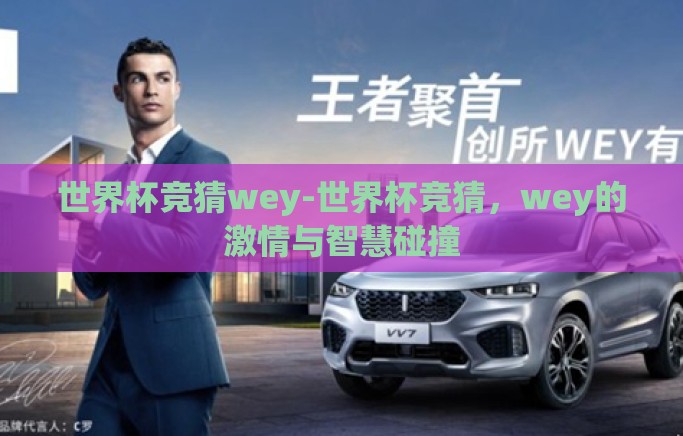 世界杯竞猜wey-世界杯竞猜,wey的激情与智慧碰撞 世界杯竞猜wey-世界杯竞猜,wey的激情与智慧碰撞