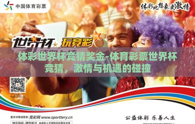 体彩世界杯竞猜奖金-体育彩票世界杯竞猜，激情与机遇的碰撞