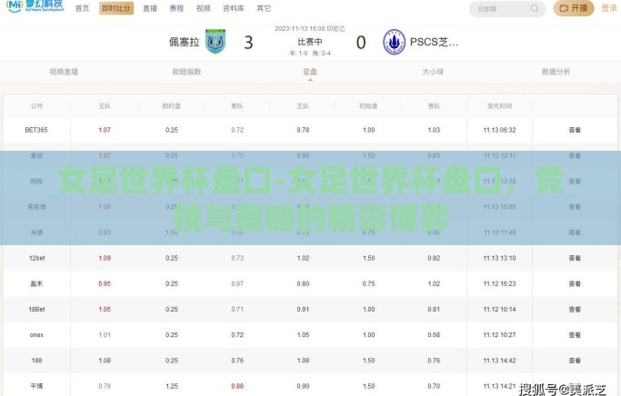 女足世界杯盘口-女足世界杯盘口，竞技与策略的精彩博弈