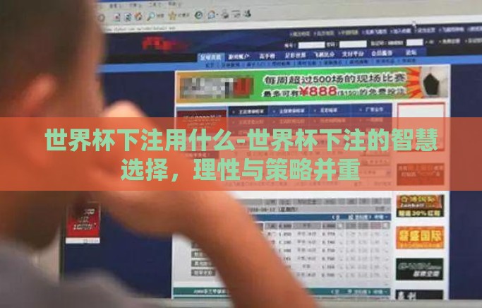 世界杯下注用什么-世界杯下注的智慧选择，理性与策略并重