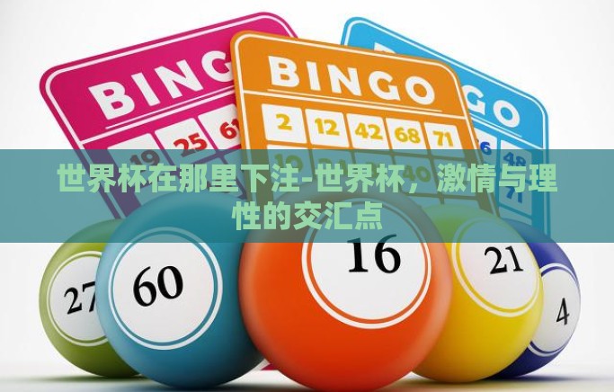 世界杯在那里下注-世界杯，激情与理性的交汇点
