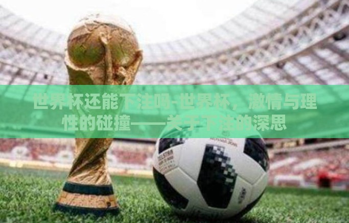 世界杯还能下注吗-世界杯，激情与理性的碰撞——关于下注的深思