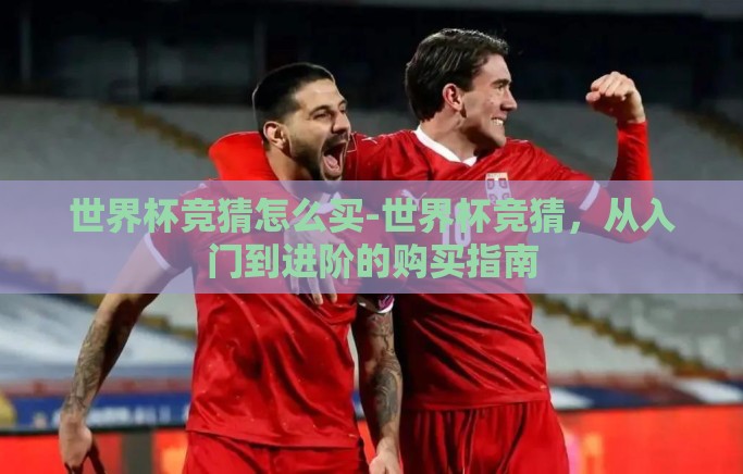 世界杯竞猜怎么买-世界杯竞猜，从入门到进阶的购买指南