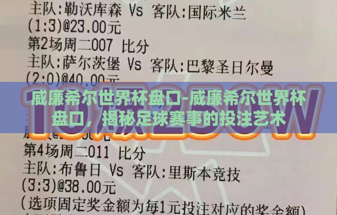 威廉希尔世界杯盘口-威廉希尔世界杯盘口，揭秘足球赛事的投注艺术