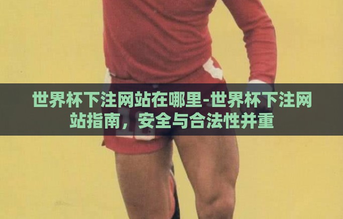 世界杯下注网站在哪里-世界杯下注网站指南，安全与合法性并重