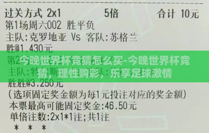 今晚世界杯竞猜怎么买-今晚世界杯竞猜，理性购彩，乐享足球激情