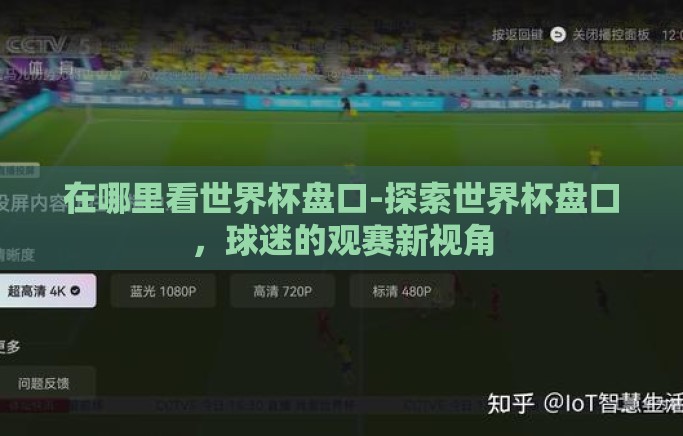 在哪里看世界杯盘口-探索世界杯盘口，球迷的观赛新视角