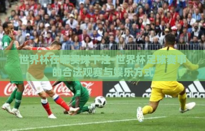 世界杯在哪买球下注-世界杯足球赛事的合法观赛与娱乐方式