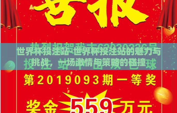 世界杯投注站-世界杯投注站的魅力与挑战，一场激情与策略的碰撞