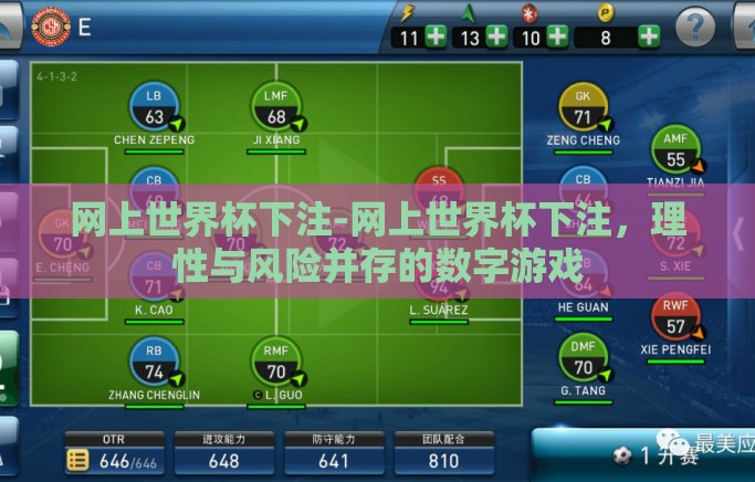 网上世界杯下注-网上世界杯下注，理性与风险并存的数字游戏