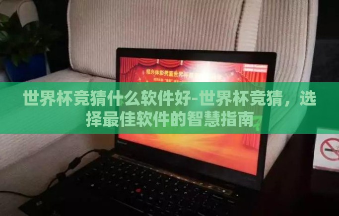 世界杯竞猜什么软件好-世界杯竞猜，选择最佳软件的智慧指南