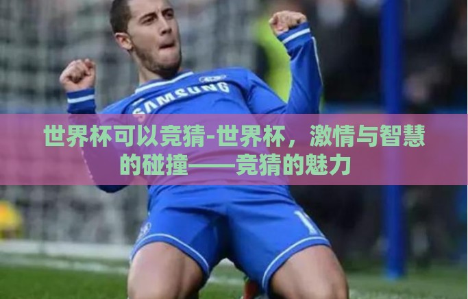 世界杯可以竞猜-世界杯，激情与智慧的碰撞——竞猜的魅力
